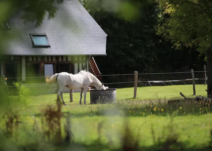 La Pomme D'amour Bed & Breakfast
